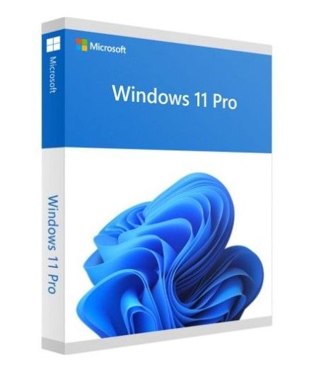 Windows 11 Pro